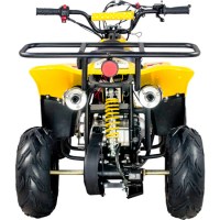 Квадроцикл ATV Classic 6 110 сзади