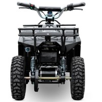 Детский электроквадроцикл Joy Automatic Rider 2 500W36V R6 сзади
