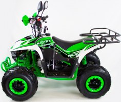 Квадроцикл MOTAX ATV MIKRO 110 белый+зеленый слева