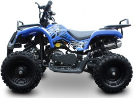 MOTAX ATV Mini Grizlik 50 2т ручной стартер синий слева