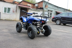 MOTAX ATV Mini Grizlik 50 2т ручной стартер синий на улице сзади