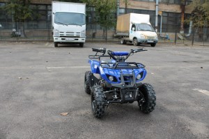 MOTAX ATV Mini Grizlik 50 2т ручной стартер синий на улице спереди
