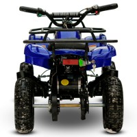 MOTAX ATV Mini Grizlik X-16 1000W синий сзади