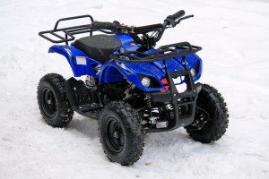 MOTAX ATV Mini Grizlik X-16 1000W синий 3/4
