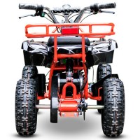 Квадроцикл детский электрический Nitro ECO Torino 800W36V R6 сзади