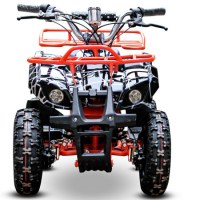 Квадроцикл детский электрический Nitro ECO Torino 800W36V R6 спереди