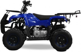 Квадроцикл YACOTA SMARTY 110cc 4т R7 синий слева