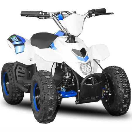 Детский электроквадроцикл Nitro ECO Madox 800W36V R6