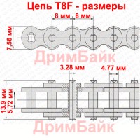 Размеры цепи T8F