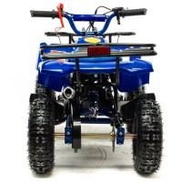 Детский квадроцикл MOTOLAND SCORPION 50 синий сзади