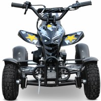 Детский квадроцикл Motax ATV H4 mini 50 2т черный+серый спереди