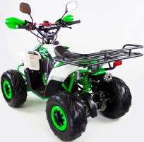 Квадроцикл MOTAX ATV MIKRO 110 белый+зеленый сзади слева