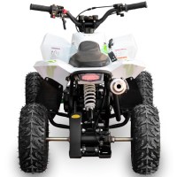 Квадроцикл MOTAX Gekkon 70cc 4т белый+зеленый сзади