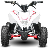 Квадроцикл MOTAX Gekkon 70 белый+красный спереди