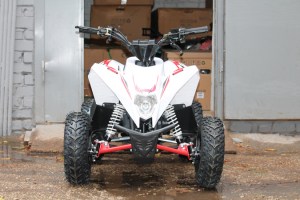 Квадроцикл MOTAX Gekkon 70 см3 белый+красный спереди