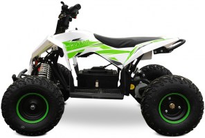 Электроквадроцикл MOTAX GEKKON 1300W белый+зеленый слева