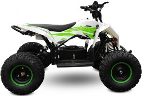 Электроквадроцикл MOTAX GEKKON 1300W белый+зеленый справа