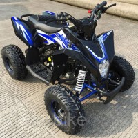MOTAX Gekkon 70cc 4т R6 черный+синий