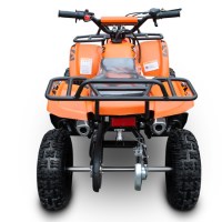 MOTAX ATV Mini Grizlik 50  2т ручной стартер оранжевый сзади