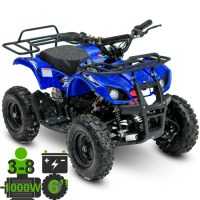 MOTAX ATV Mini Grizlik X-16 1000W синий