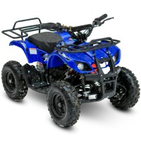 MOTAX ATV Mini Grizlik X-16 1000W синий 3/4