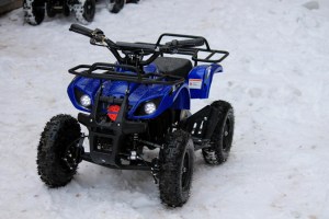 MOTAX ATV Mini Grizlik X-16 1000W синий на улице 3/4