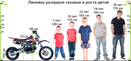 Линейка роста детей и размеров питбайка KXD DB 607 14/12